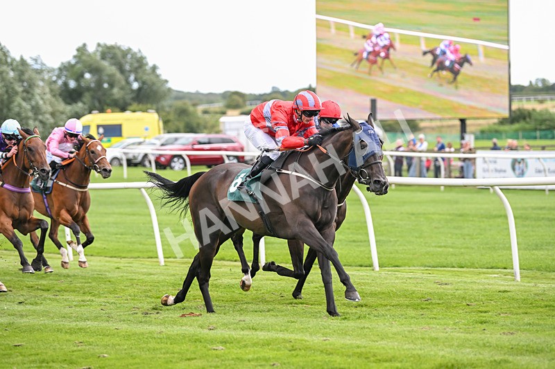 050825-Race 4-Dream Deal-5908 - Race 4