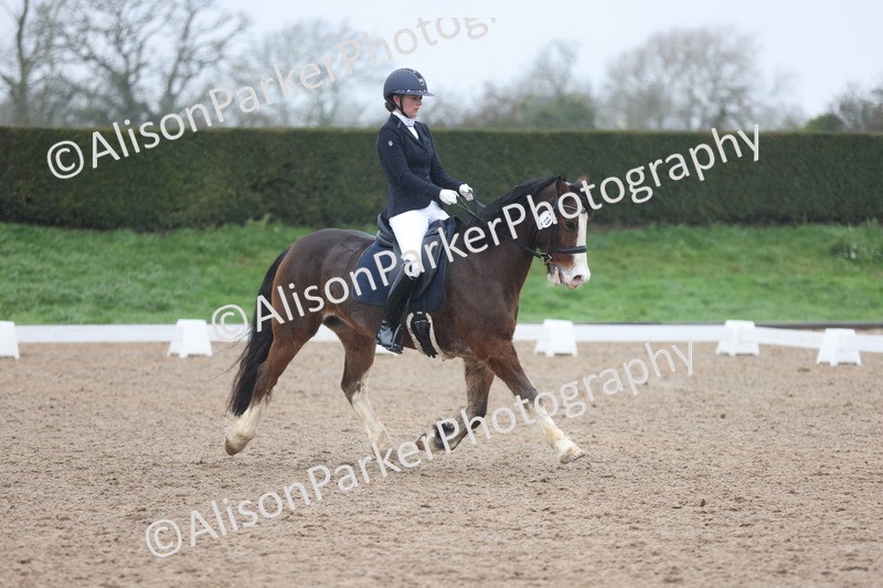 20251207-0549 - Class 3 - Novice 5