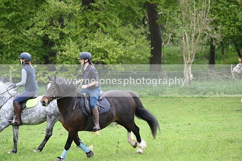 WJ6_3331 - A camera