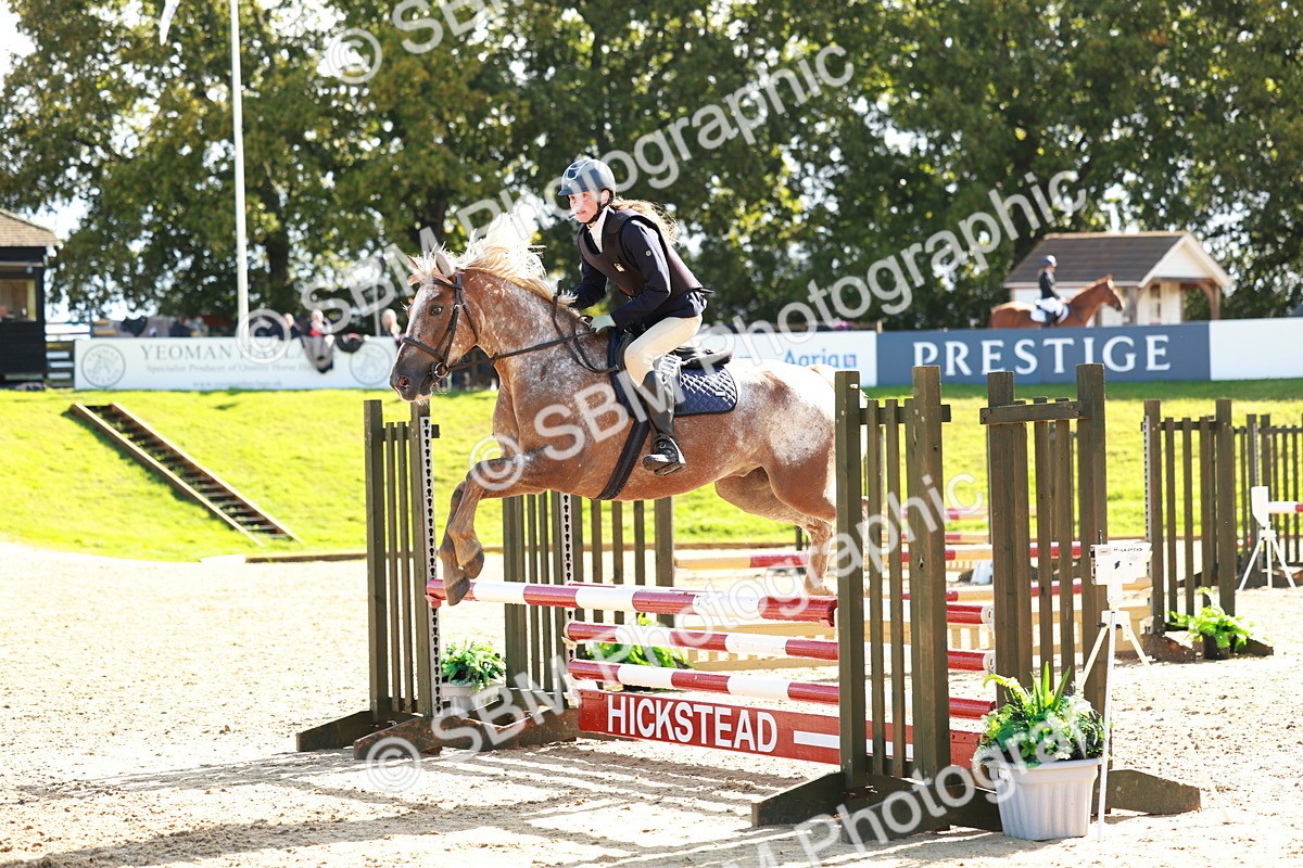 SBM_37999 - J39 - Senior Horse & Pony 85cm Championship