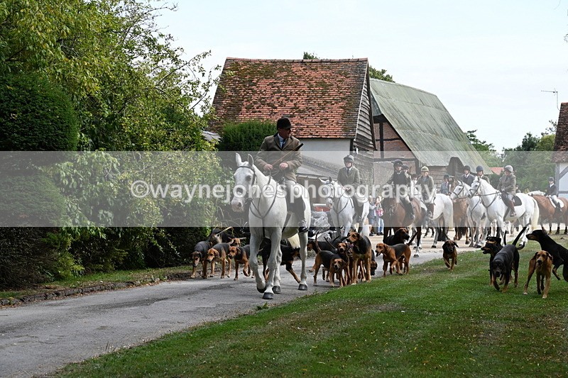 WJ6_3909 - Berks & Bucks - The Old farmhouse - Hound Exercise 20-08-25