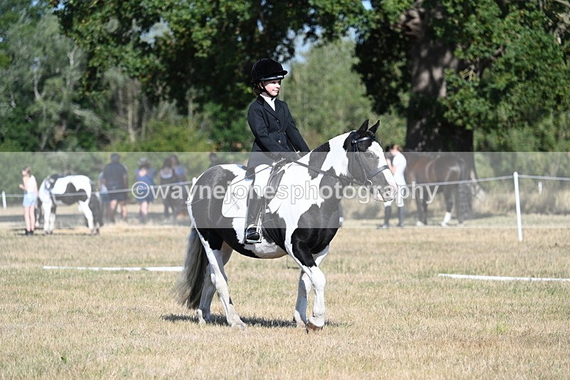 WJ7_9428 - Time 10:08 to 10:13