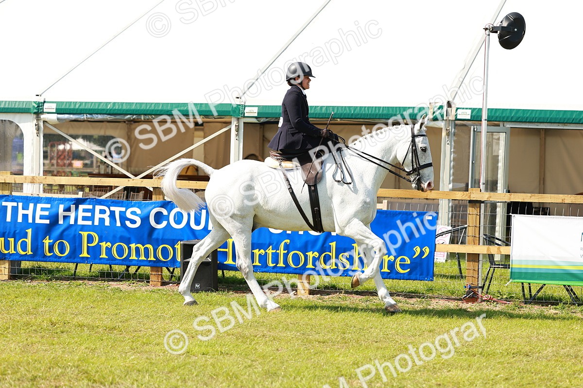 SBM_13130 - Class 70-71 - Side Saddle