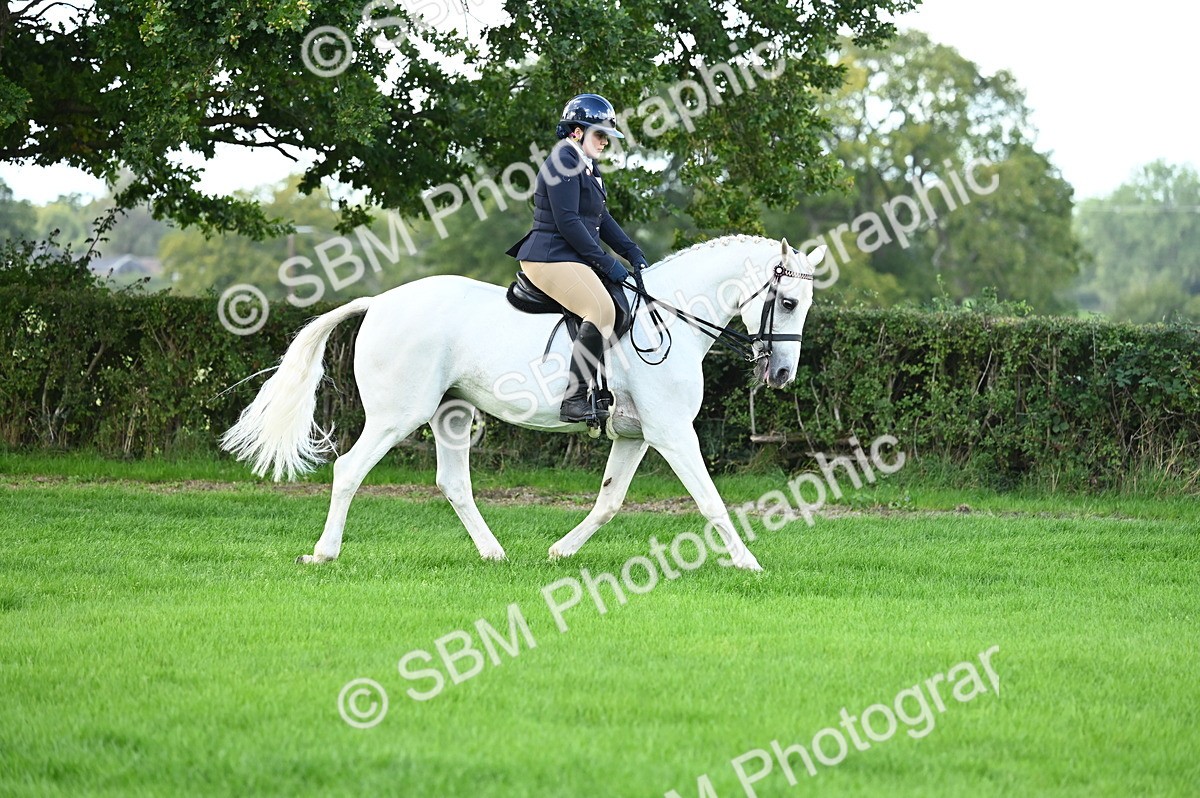 SBM_01678 - S2 - TSR Ridden Horse Showing