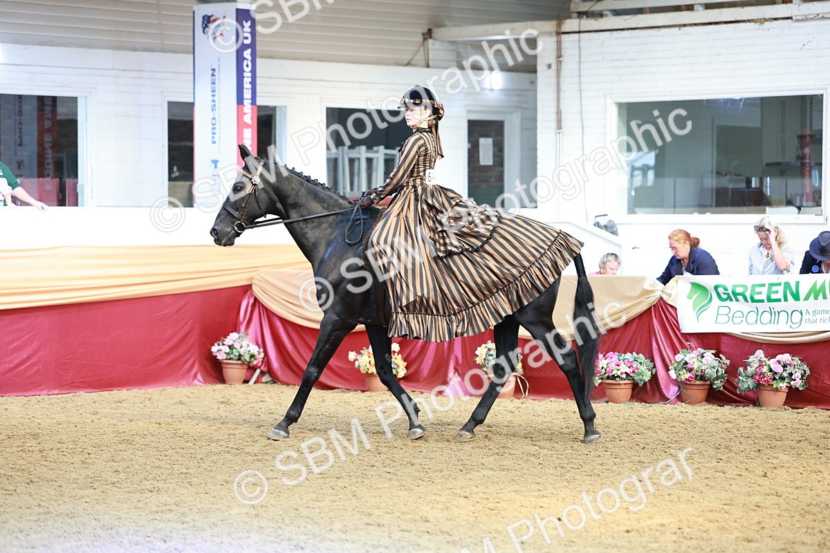 SBM_13473 - Class 104 - Ridden Costume - Astride Junior