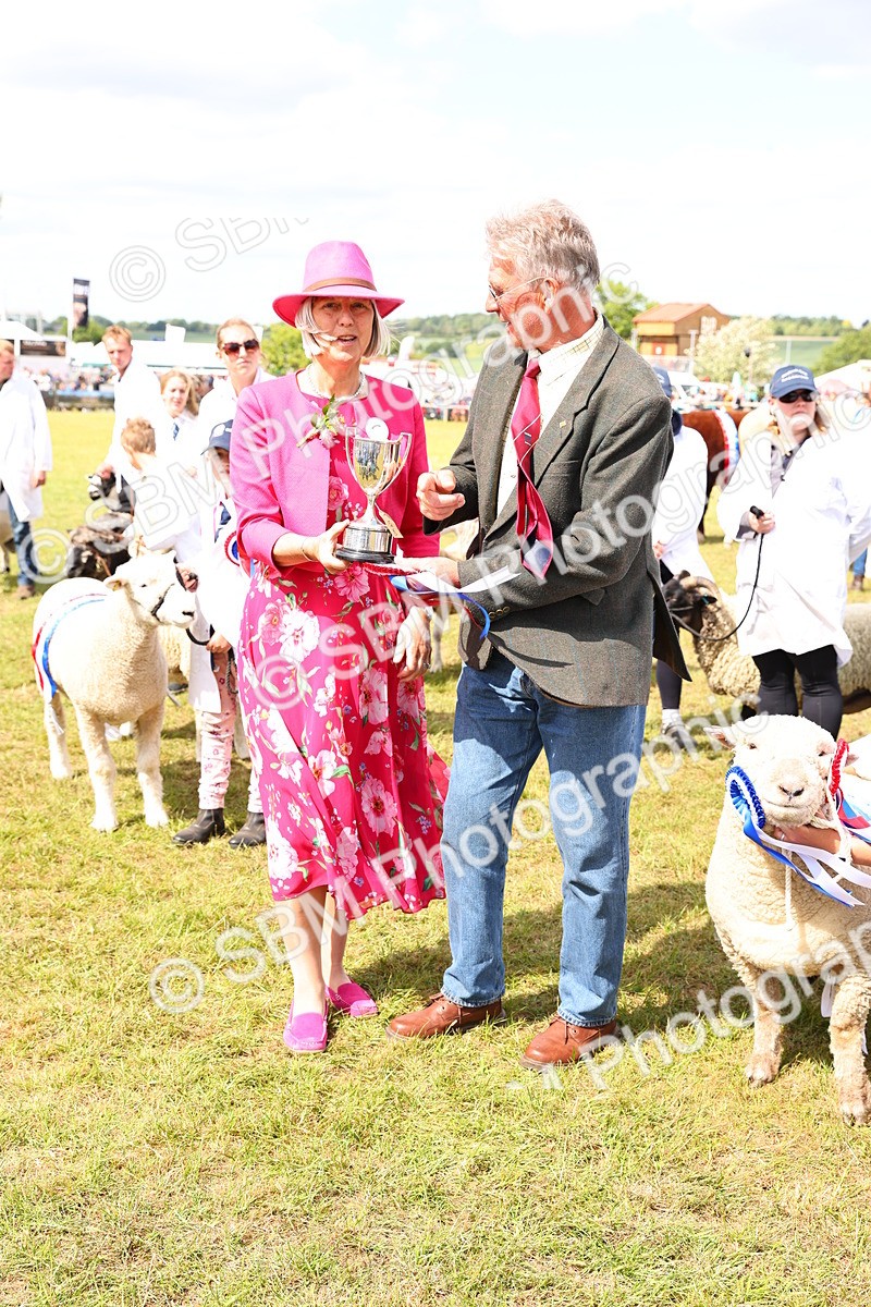 SBM_17007 - Grand Parade