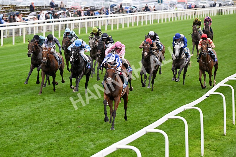 200826-Race 3-The Lost King-0435 - Race 3 15.00pm Sir Kevin Sinfield 7 In 7 Grand Finale Handicap