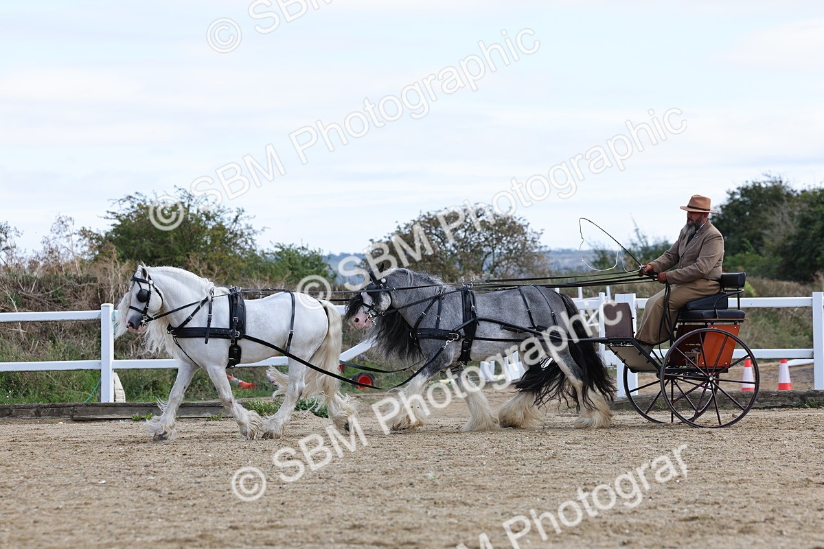 SBM_001177 - Class 16 - Pairs ,Multiples and Tandems