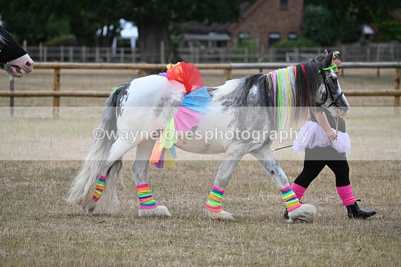 WJ6_8824 - Class 11 Fancy Dress