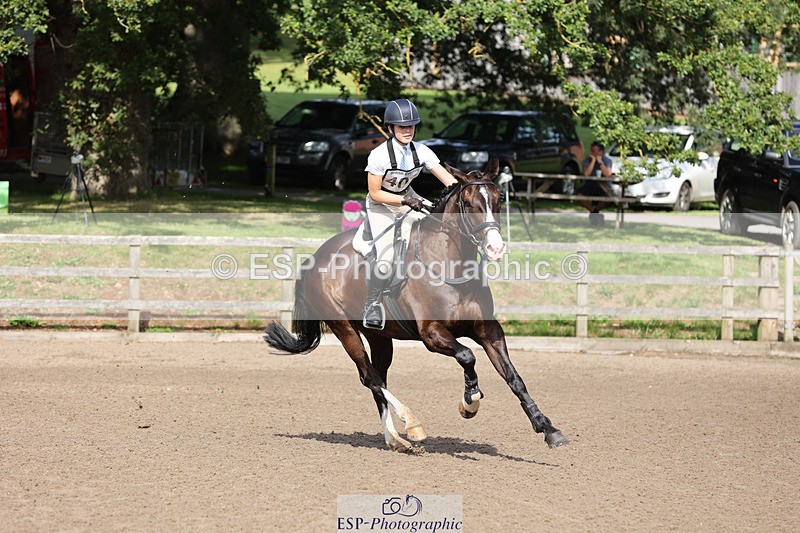 240804-093727-10195 - 403-Alana_Harries-THE_KNIGHT