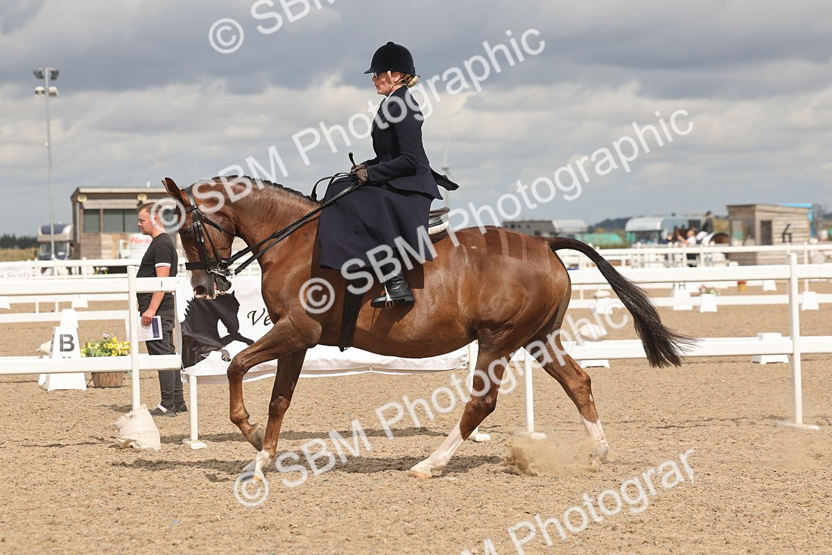 SBM_06361 - Class 22 - SSA - Equitation