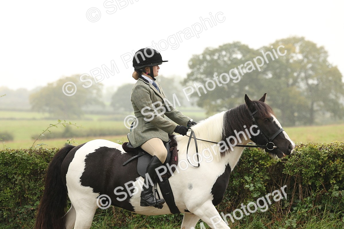 SBM_72664 - S70 - Traditional Cob Ridden