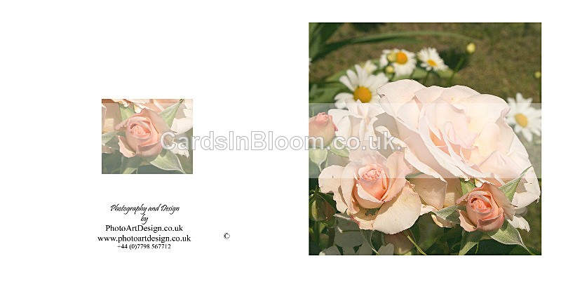 030 Roses - FLORAL GREETING CARDS