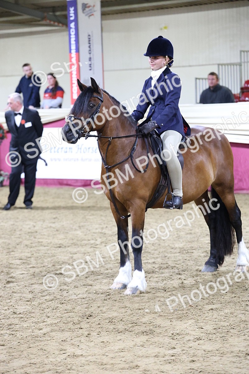 SBM_21324 - Class S - Style & Performance Champ