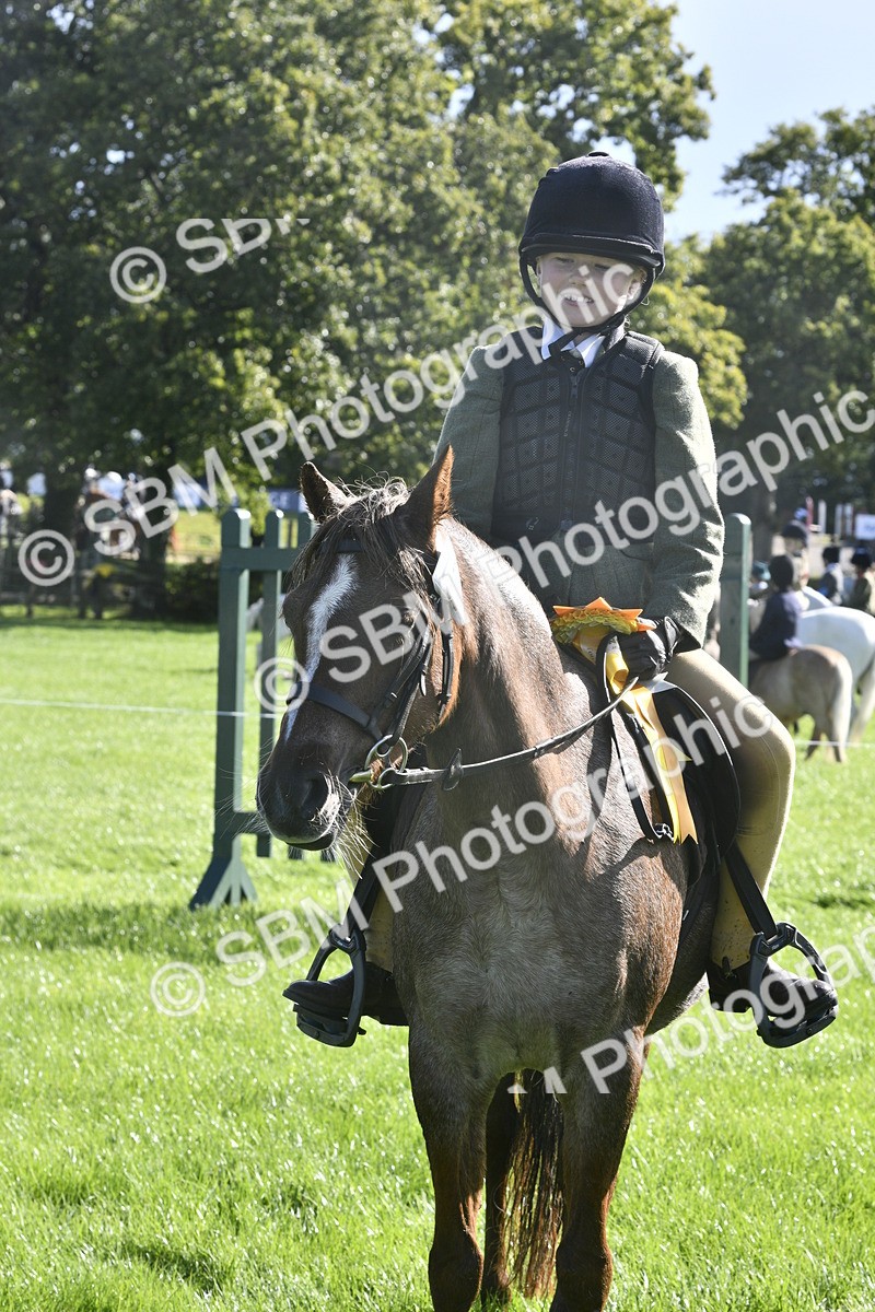 SBM_37247 - S31 - Novice & Newcomer Working Hunter Pony