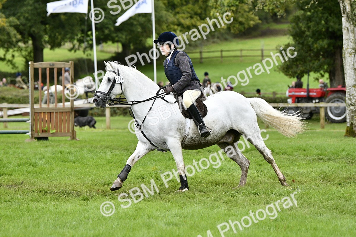 SBM_41313 - S32 - Mountain & Moorland Working Hunter Pony