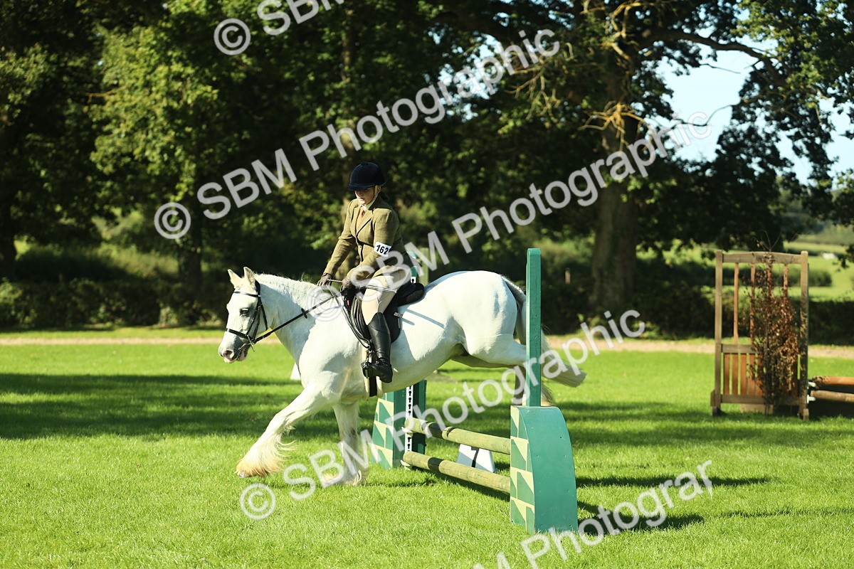 SBM_37389 - S29 - Novice & Newcomers Working Hunter Pony