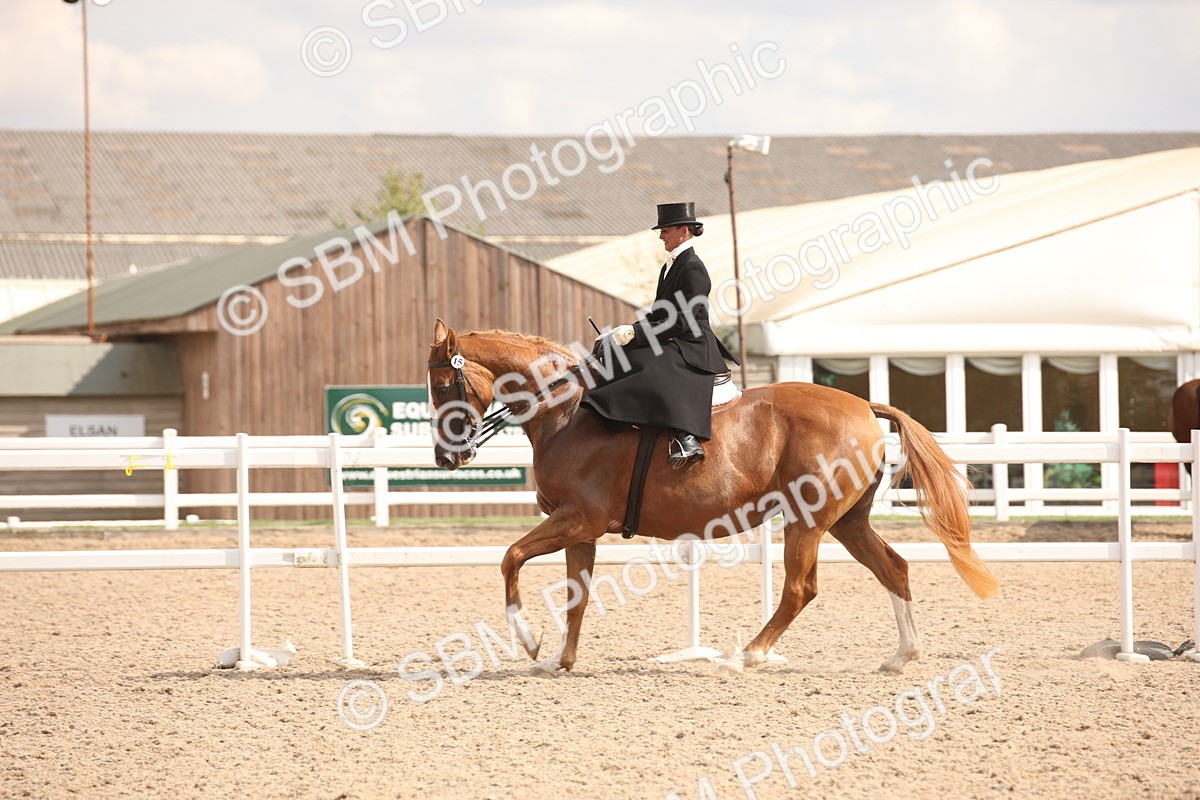 SBM_06734 - Class 24 Concours d'elegance