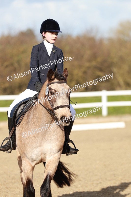 20260314-5386 - DR4 - Prelim 2