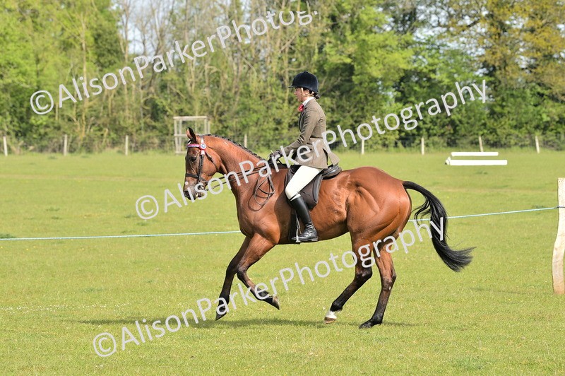 20260426-1133 - Class 19 - Retraining Of Racehorses