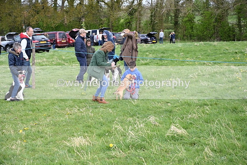 WJ6_8432 - Class 6 Best Rescue