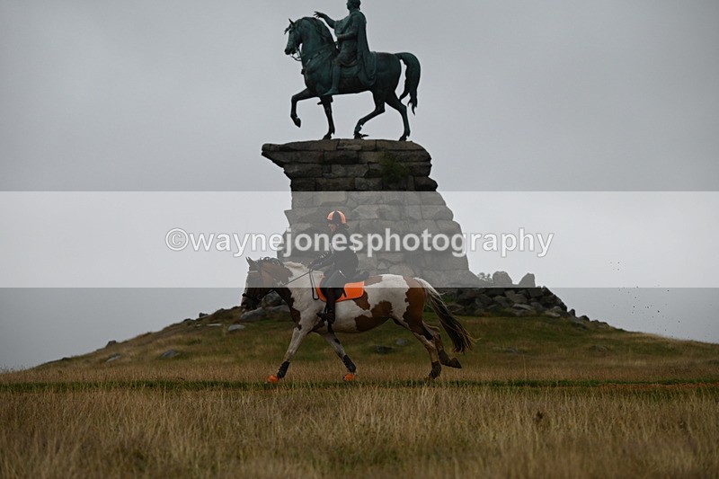 DSC_1553 - Time at Statue 11:54 to 12:12