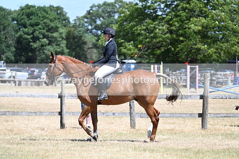 WJ7_2773 - Class 7 Riding Club Show Horse