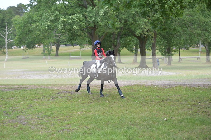 NGP_8062 - Time 11:39 to 11:48