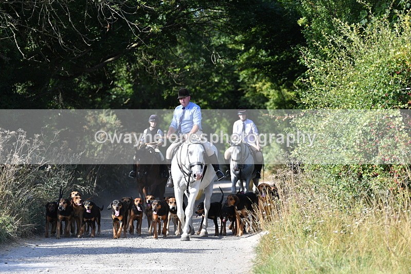 WJ5_4772 - Walk out with the hounds