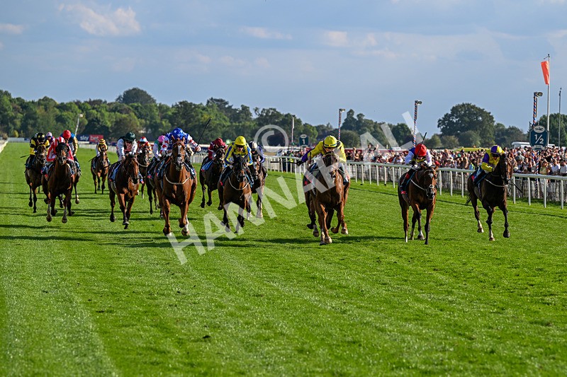 220826-Race 7-Raammee-1850 - Race 7 17.20pm Sky Bet Dav Reid Finale Handicap