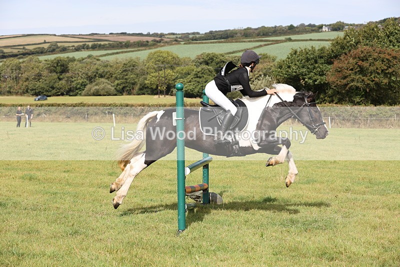 JPP_8630 - Class 2: Trekenning: 80cm Showjumping