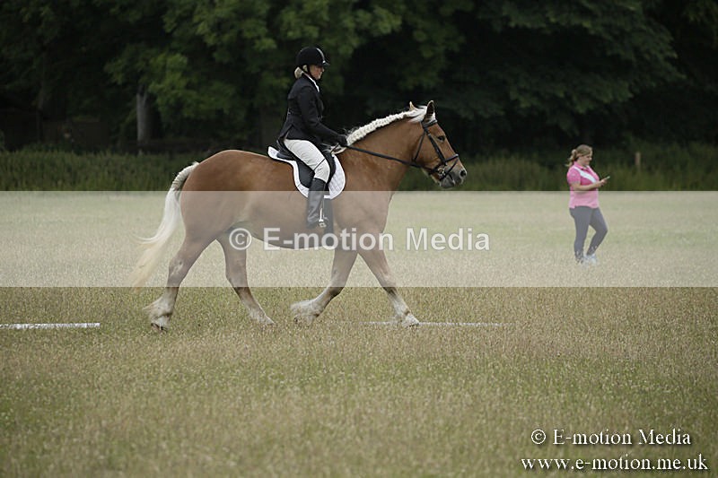 B230619-0014 - Bourne Valley Riding Club Summer Show 23/06/19