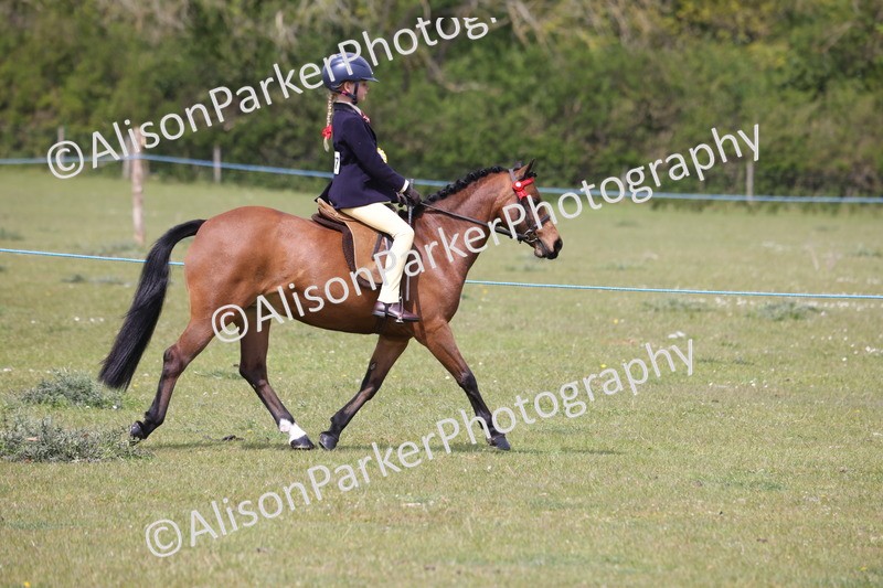 20260426-4037 - Class 33 - Best Pony 14.2hh and Under