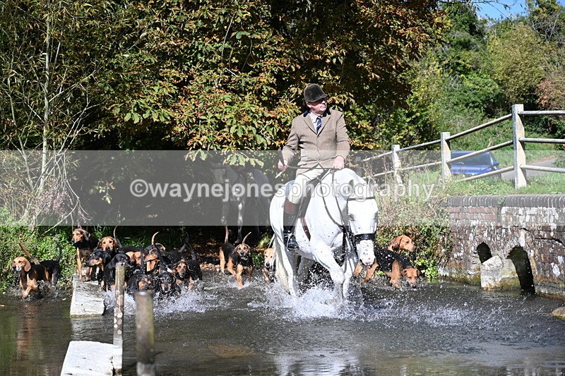 WJ7_5941 - Hounds Water Crossing
