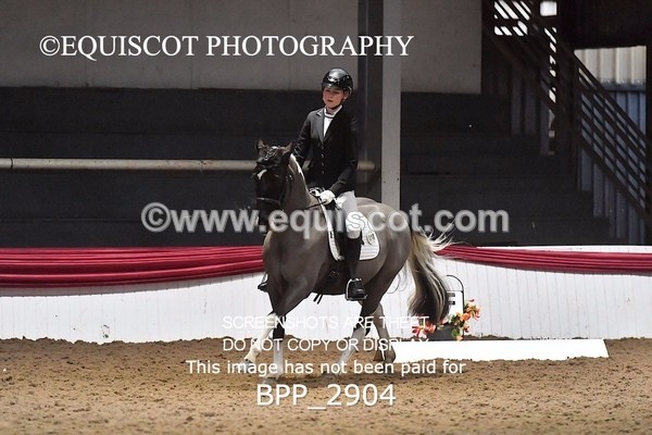 BPP_2904 - 10 - K MILLER