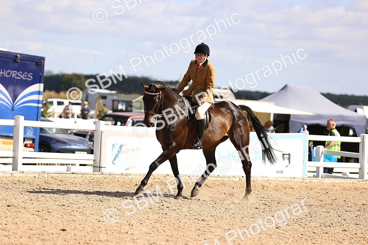 SBM_12980 - Class 410 - Grassroots Ridden - Horse