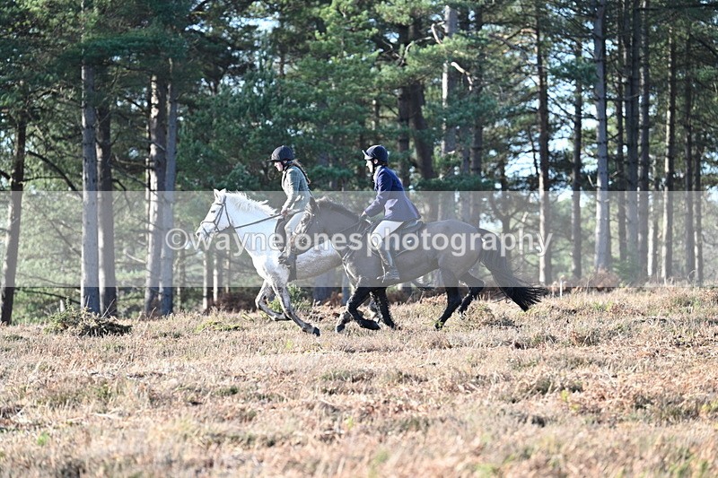 WJ7_7066 - Line 3 (no line 4 or 5)