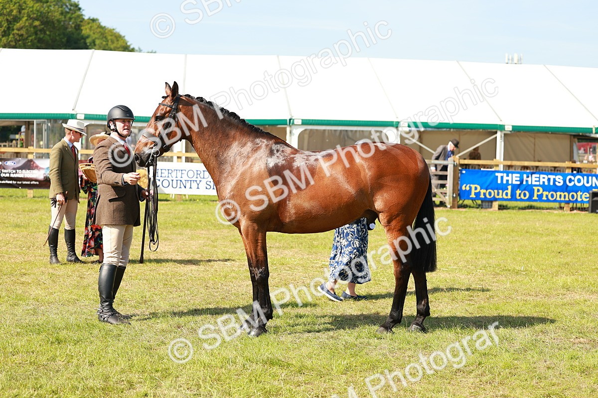 SBM_12074 - Class 66-69 - RIHS Ridden Hunters Inc Small Hunter