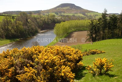 50 - SCOTTISH BORDERS