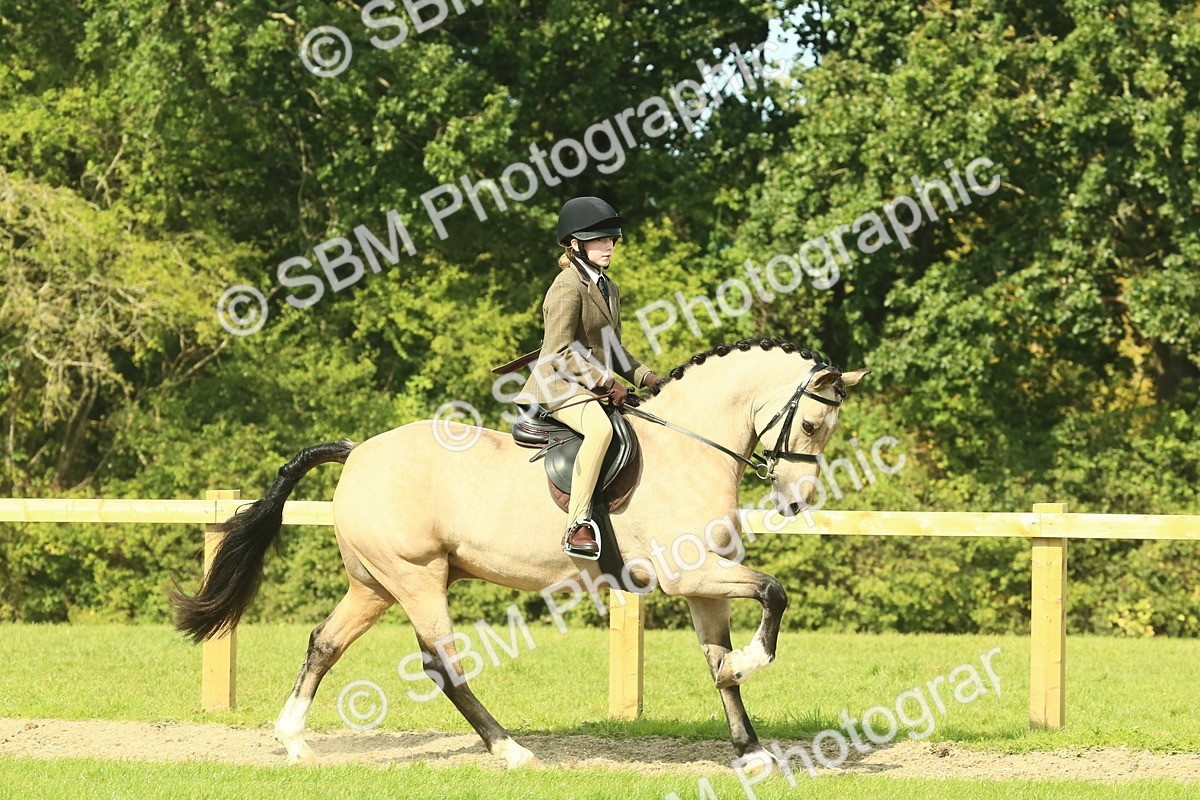 SBM_67458 - S56 - Coloured Pony Ridden