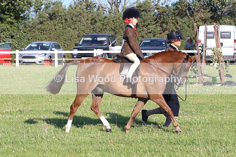 JPP_0784 - Class 16: Cornish Combination Leading Rein