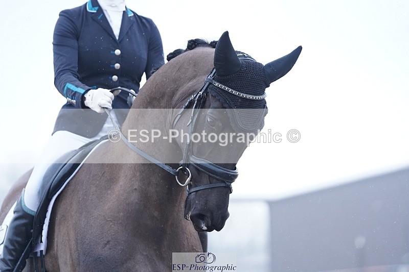 250215-132738-04119 - 218-Jessica.Davies-Nemo.II