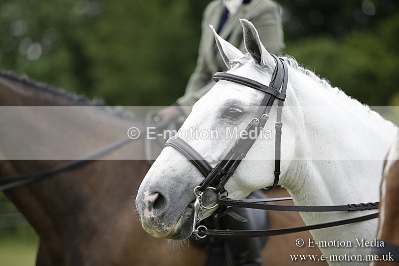 BVR160717-1013 - Ring 1 BVRC Show 16/07/17