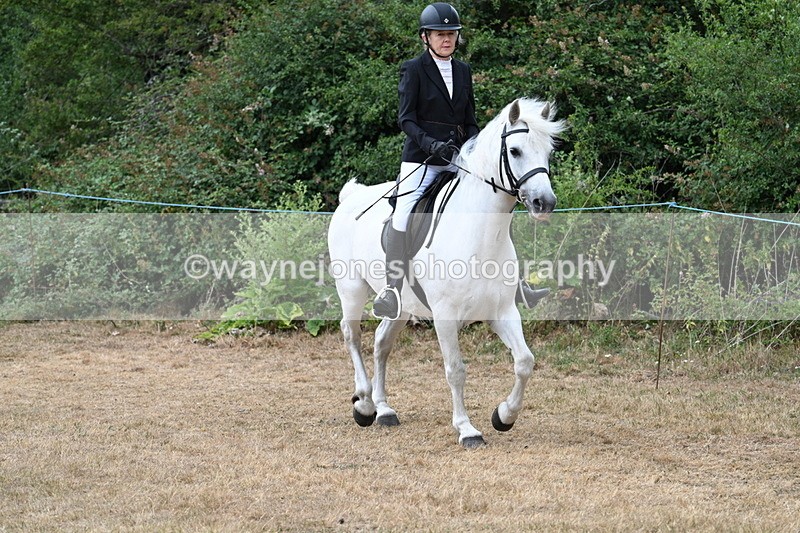 WJ7_0398 - Class 6 Ridden Mountain and Moorland