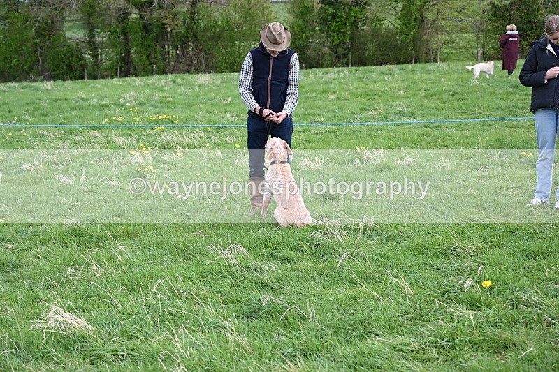 WJ6_8014 - Class 2 Best Pedigree