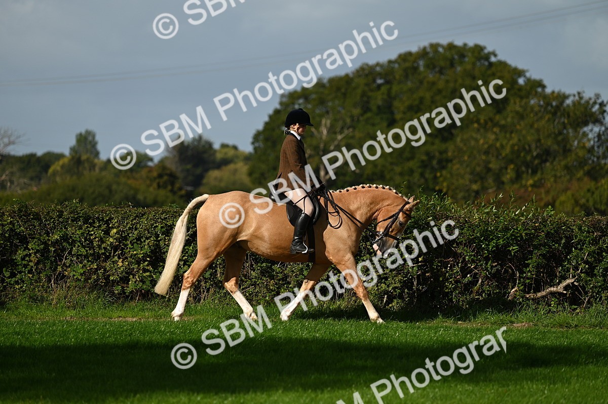 SBM_01355 - S2 - TSR Ridden Horse Showing