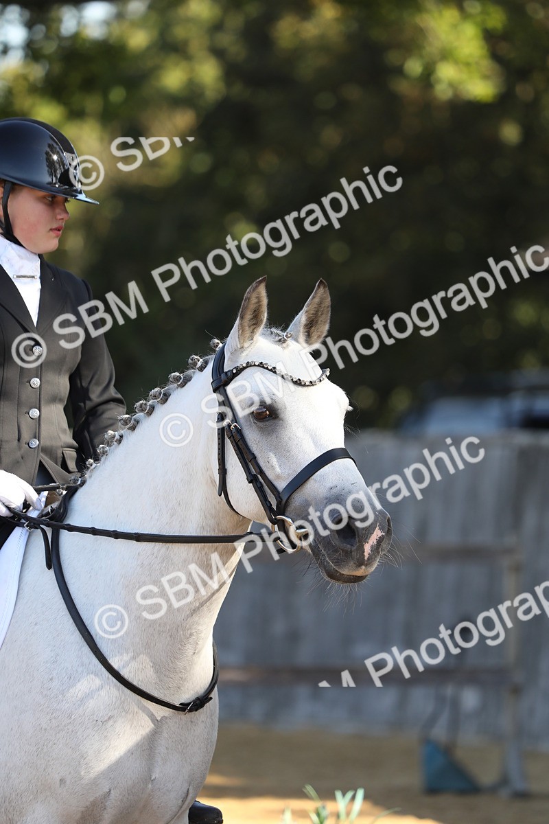 SBM_38007 - D21 - Junior Championship - Intro A