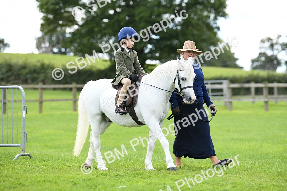 SBM_42419 - S20 - Lead Rein Mountain & Moorland Pony