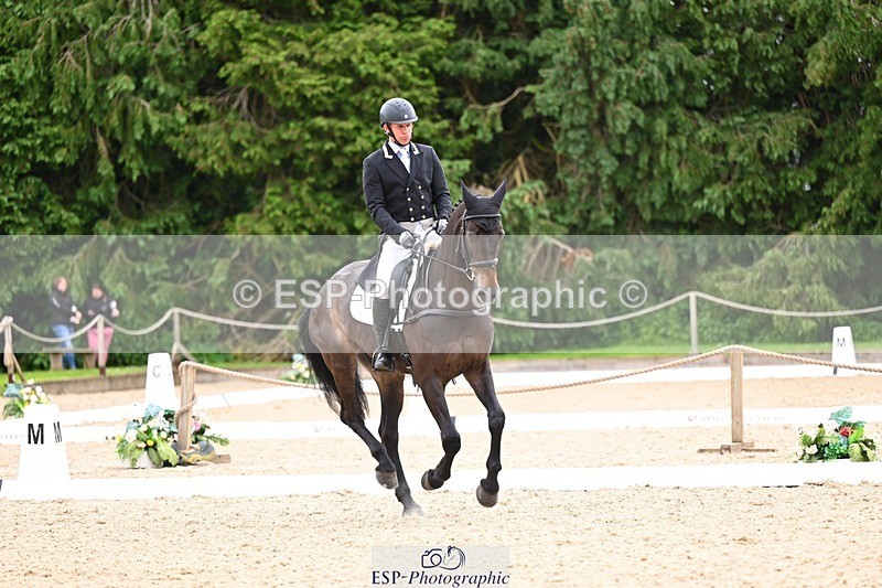 240524-093825-07930 - 507-DASSETT_ROCK_STAR-Tom_D_Crisp