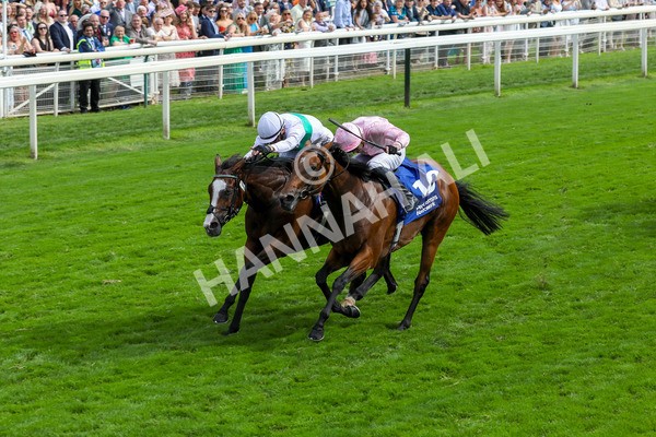 240823-Race 4-Warm Heart-5201 - Race 4 3.35pm Pertemps Network Yorkshire Oaks